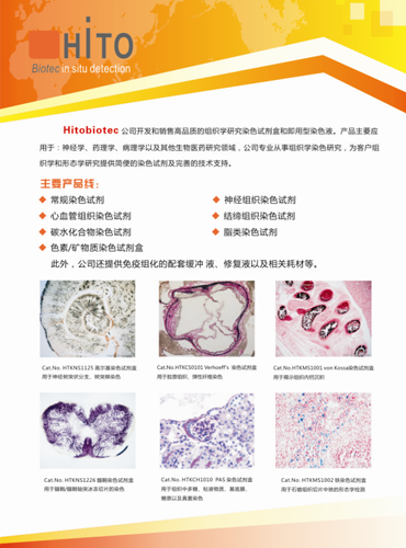 Hitobiotec神經組織染色試劑盒