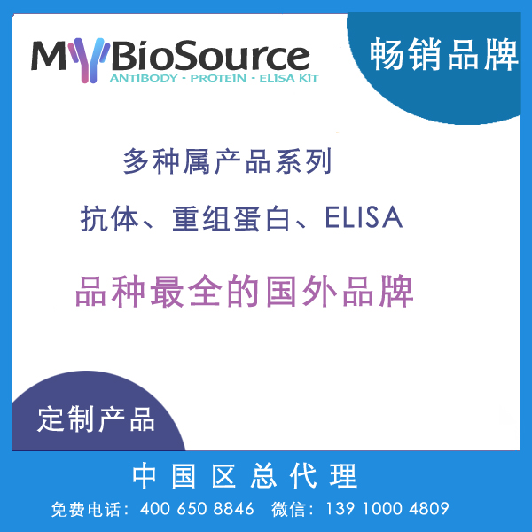 Porcine?Immunoglobulin?A,?IgA?ELISA?Kit