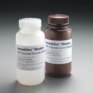 Western Blot 化學發光底物