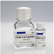 GMP級干細胞凍存液 1894 11897 現貨 stem cellbanker