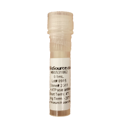 Mouse H+K+ ATPase Monoclonal Antibody 現貨