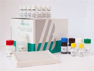 Endostatin ELISA 內皮抑制素ELISA試劑盒