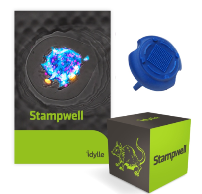 Stampwell U - 3D cell aggregation 凝膠U型孔制備(3D細胞成像)