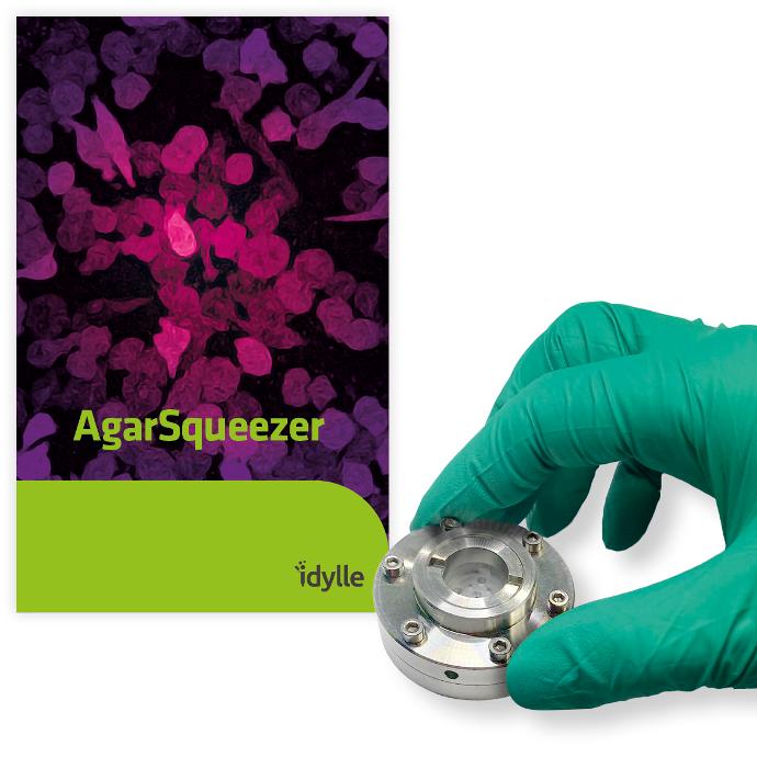 AgarSqueezer - agar-based cell compression device 細胞培養系統