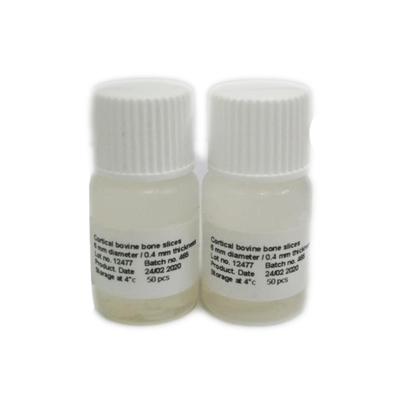 骨切片（bone slice）-破骨細胞骨吸收功能檢測