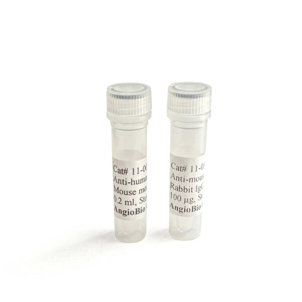 Anti-Prox1 Antibody